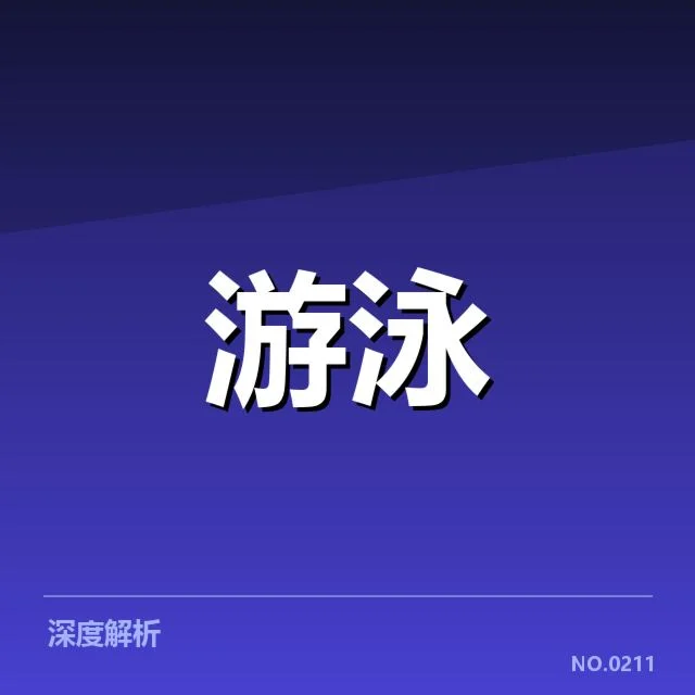 队员构成与赛程安排细节
